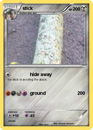 Pokemon stick