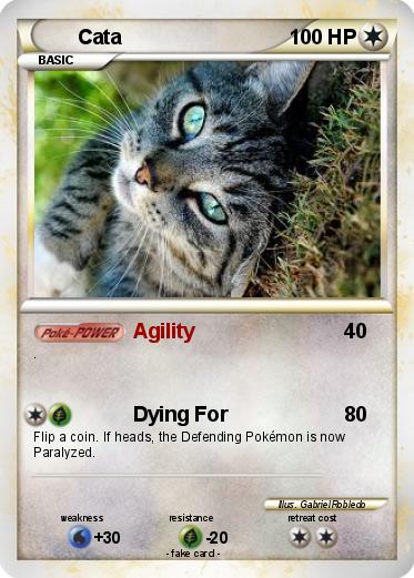 Pokemon Cata
