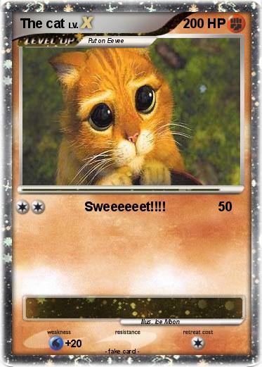 Pokemon The cat