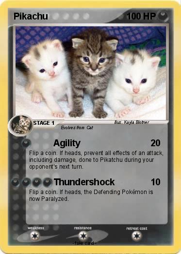 Pokemon Cats