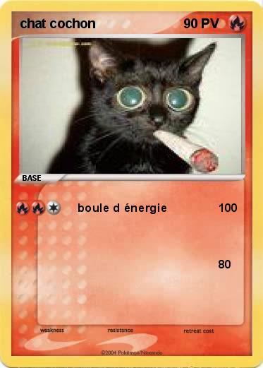 Pokemon chat cochon