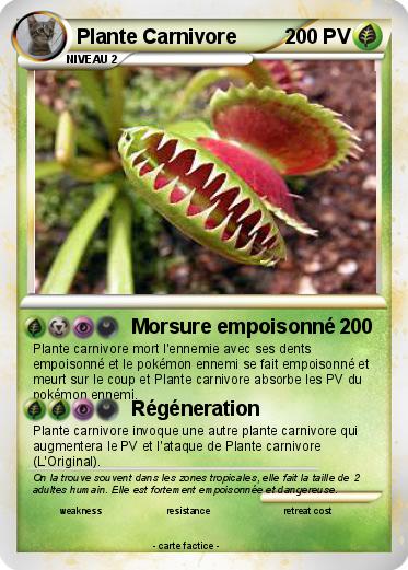 Pokemon Plante Carnivore