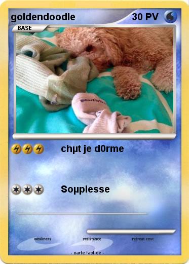Pokemon goldendoodle