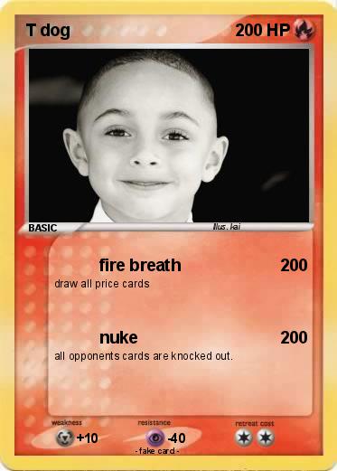 Pokemon T dog