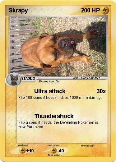 Pokemon Skrapy