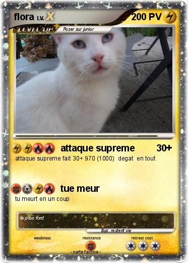 Pokemon flora