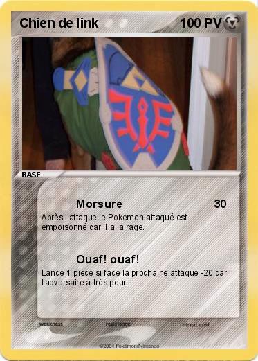Pokemon Chien de link 