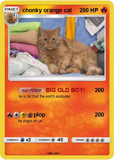 Pokemon chonky orange cat