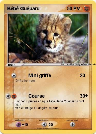 Pokemon Bébé Guépard
