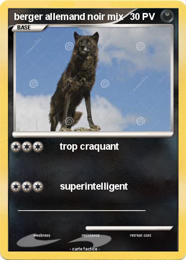 Pokemon berger allemand noir mix