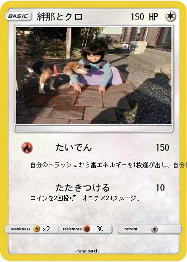 Pokemon 絆那とクロ