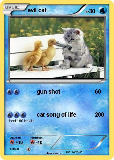 Pokemon evil cat
