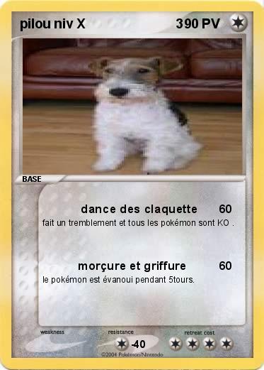 Pokemon pilou niv X                         3