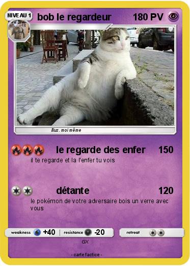 Pokemon bob le regardeur