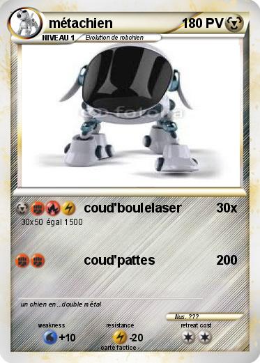 Pokemon métachien