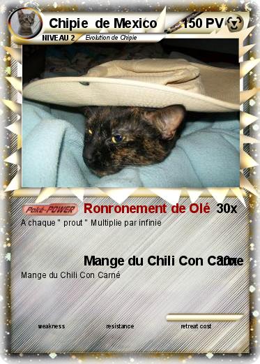 Pokemon Chipie  de Mexico