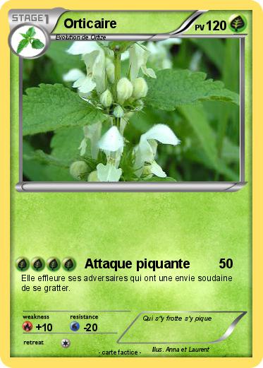 Pokemon Orticaire