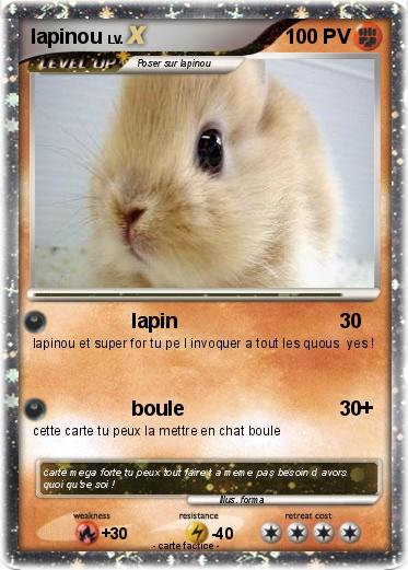 Pokemon lapinou