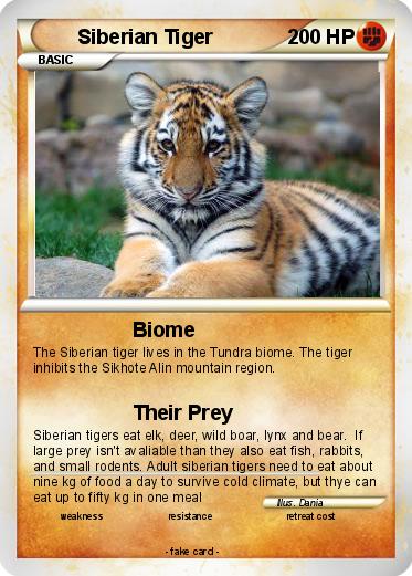 Pokemon Siberian Tiger