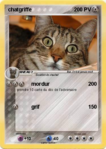 Pokemon chatgriffe