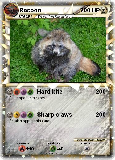 Pokemon Racoon