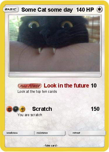 Pokemon Some Cat some day