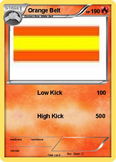 Pokemon Orange Belt