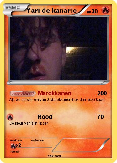 Pokemon Yari de kanarie