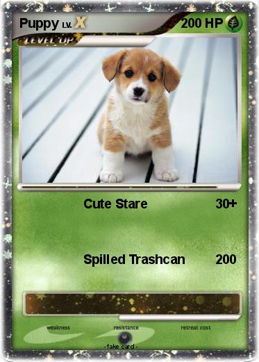 Pokemon Puppy