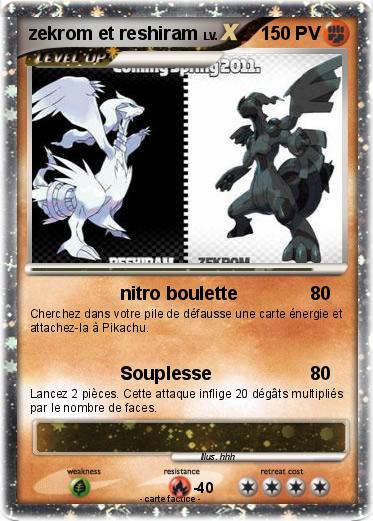 Pokemon zekrom et reshiram