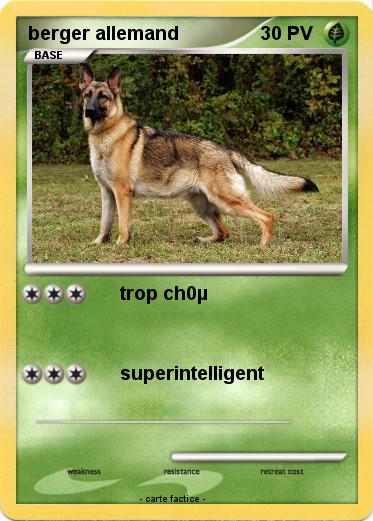 Pokemon berger allemand