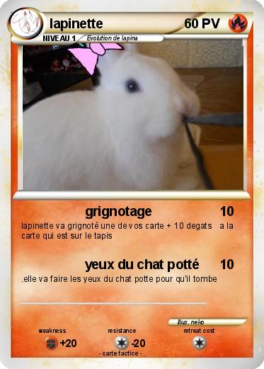 Pokemon lapinette