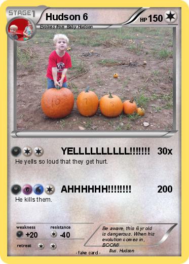 Pokemon Hudson 6