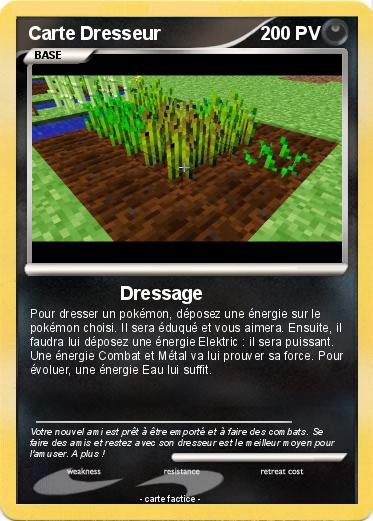 Pokemon Carte Dresseur