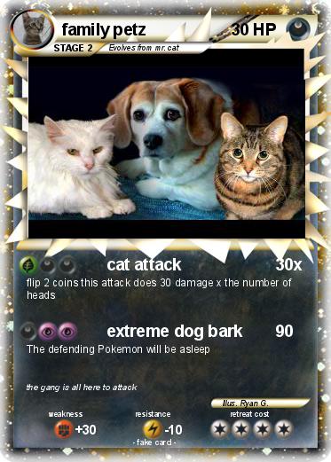 Pokemon family petz