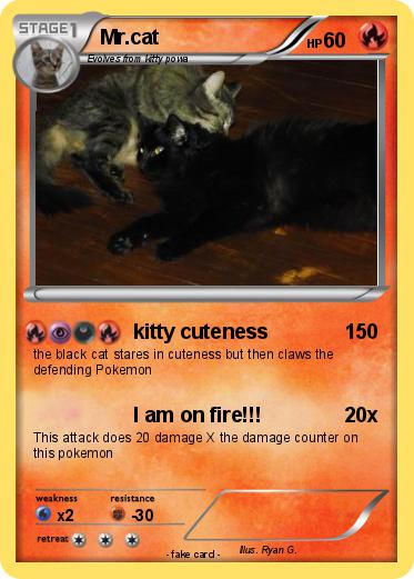 Pokemon Mr.cat