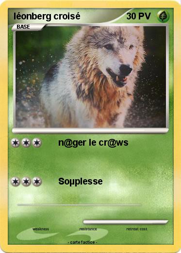 Pokemon léonberg croisé