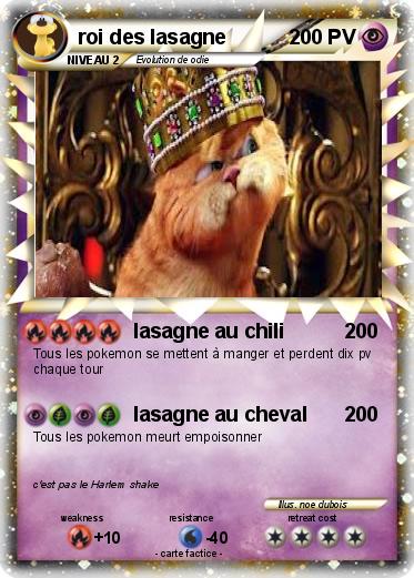 Pokemon roi des lasagne