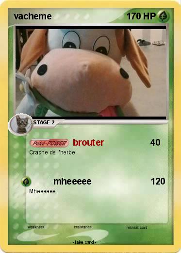 Pokemon vacheme