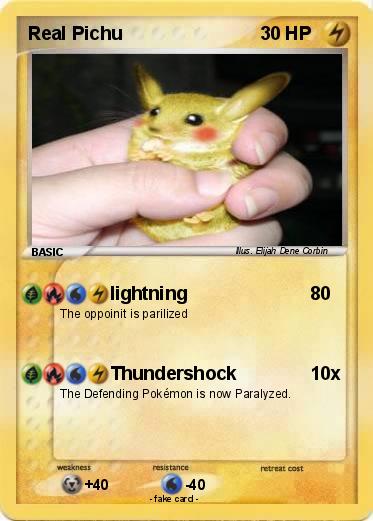 Pokemon Real Pichu