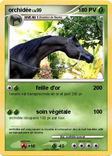 Pokemon orchidée