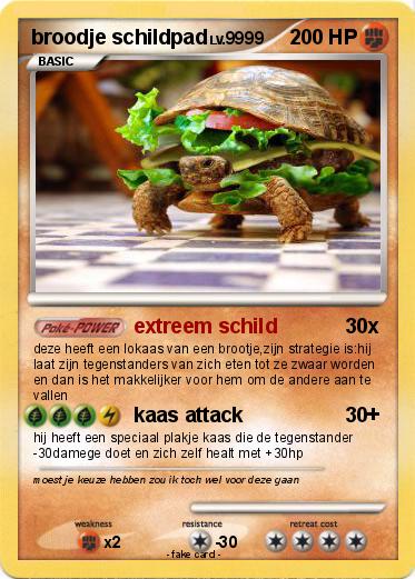 Pokemon broodje schildpad