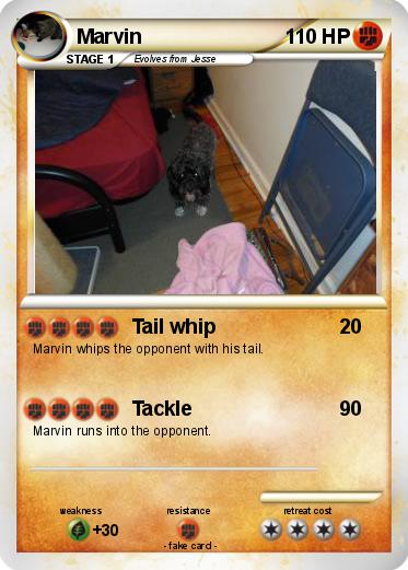 Pokemon Marvin