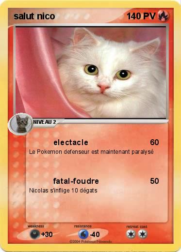 Pokemon salut nico