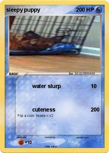 Pokemon sleepy puppy