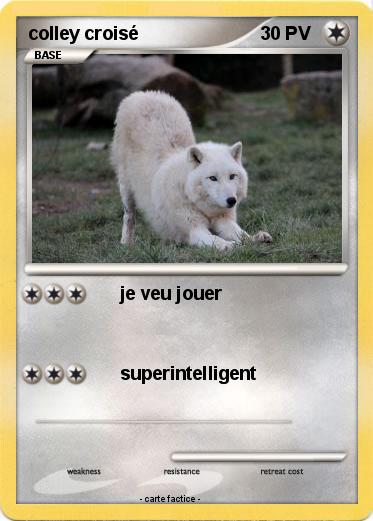 Pokemon colley croisé