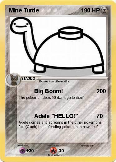 Pokemon Mine Turtle