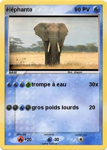 Pokemon éléphanto