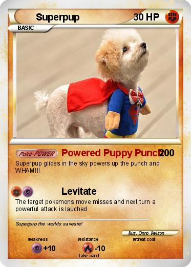 Pokemon Superpup