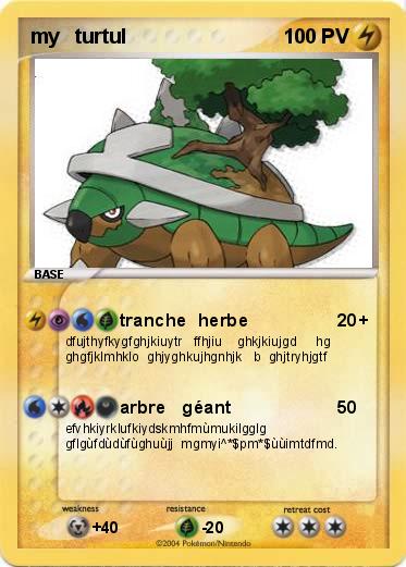 Pokemon my   turtul